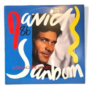 David Sanborn "A Change Of Heart" by Warner Bros. LP Vinyl Record